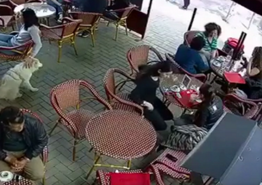 Shikoni si vjedhin dy vajza në lokal/ Video