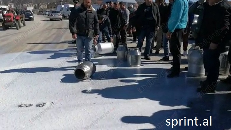 VIDEO/ Fermerët e Lushnjes, në shenjë revolte kanë derdhur qumështin në rrugë.