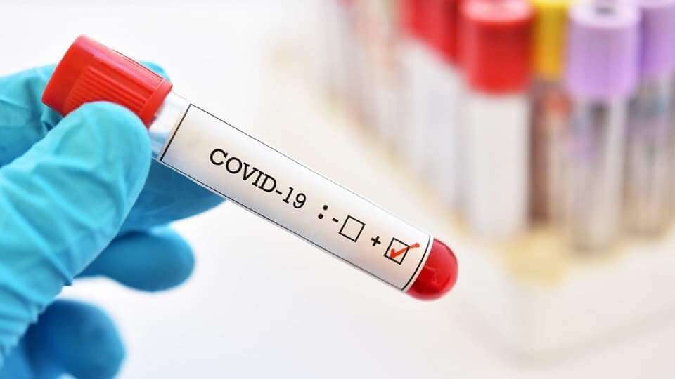 Studimi i ri zbulon sa kohë qëndron Covid-19 në trupin tonë