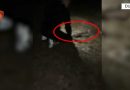 6 të arrestuar në Durrës/ Me kallashnikov pa leje kryenin qitje gjatë natës dhe postonin videot në TikTok