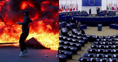 PE ngre shqetësimin për dhunën policore në protesta: Shteti i së drejtës, kusht për integrimin në BE