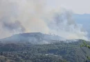 Ekspozimi ndaj tymit të zjarreve gjatë shtatzënisë lidhet me rrezik më të lartë
